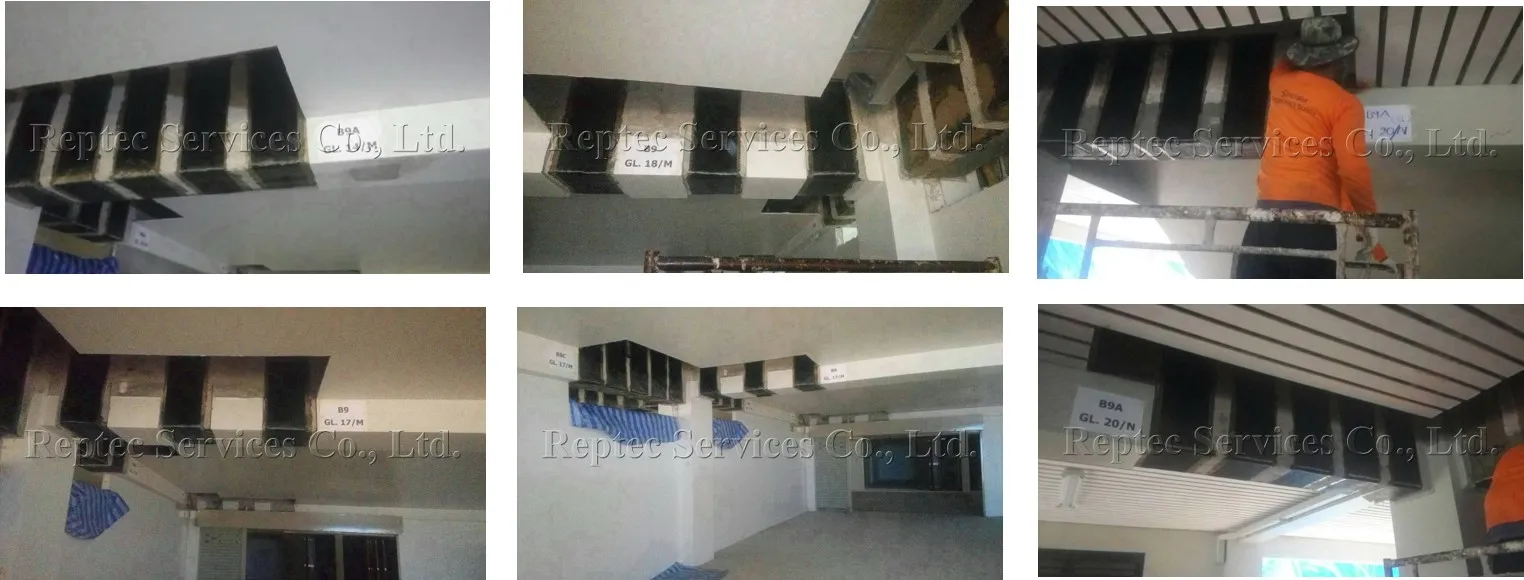 iTopPlus219766166141