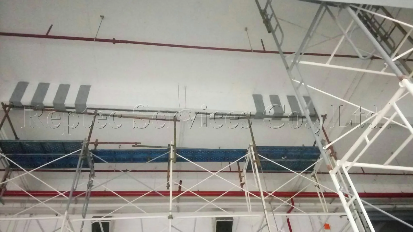 iTopPlus807366145813