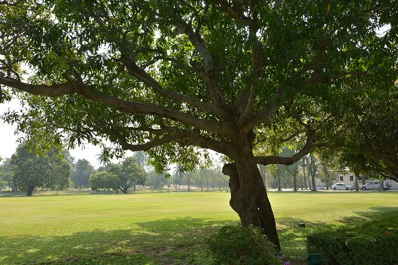 DSC0015