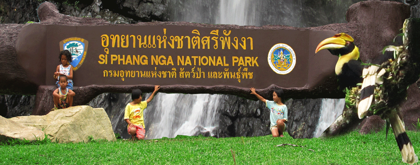 โปสเตอร์ศรีพังงา-9