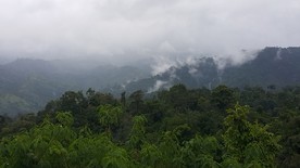 20170804155510