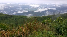 20170805083309