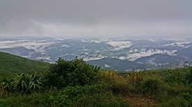 20170805083502