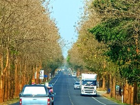 20190216121048