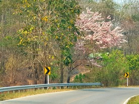 20190331111620