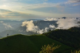 DSC0044