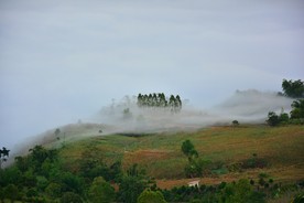 DSC0114