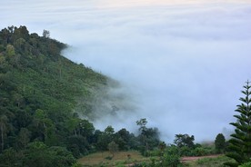 DSC0118
