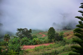 DSC0131