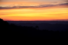 DSC0144