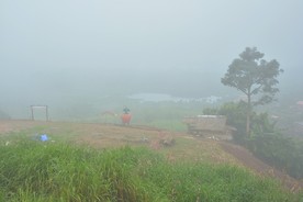 DSC0902