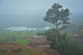 DSC0906