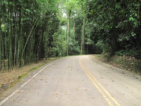 IMG0017