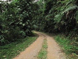 IMG0022