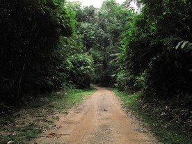 IMG0023