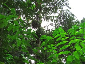 IMG0027