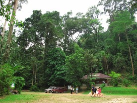 IMG0029