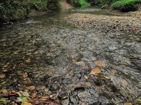 IMG0037