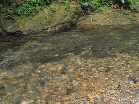 IMG0040