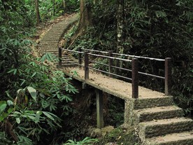IMG0051