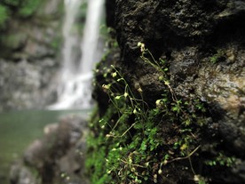 IMG0084