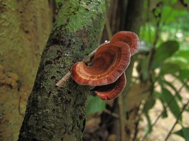 IMG0089