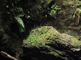 IMG0098