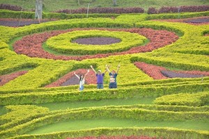 iTopPlus1236000033968