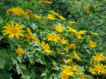20201126123002