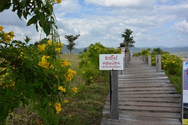 DSC0001