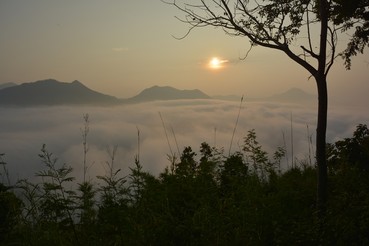DSC0025