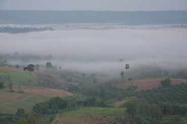 DSC0083