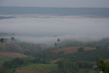DSC0084