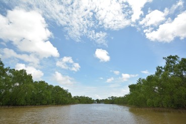 DSC0103