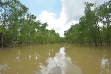 DSC0126