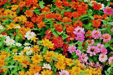 DSC0152