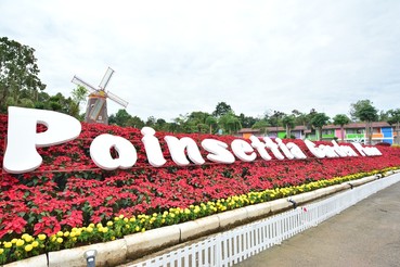 DSC0157