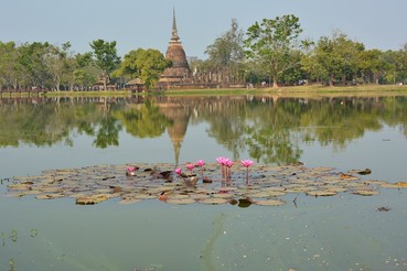DSC0174