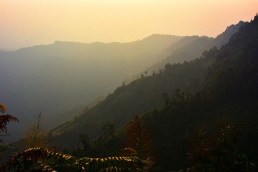 DSC0176