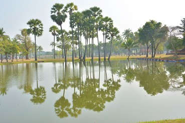 DSC0183
