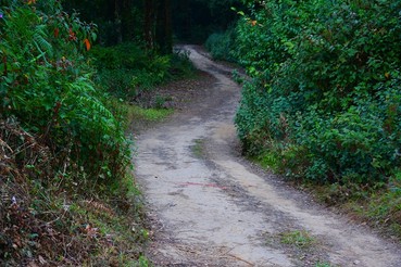 DSC0193