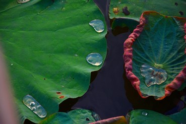 DSC0230