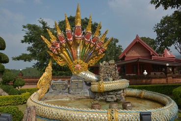 DSC0319