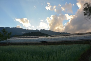 DSC0346