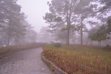 DSC0389