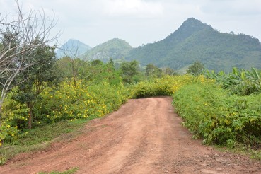 DSC0581