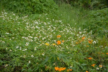 DSC0585