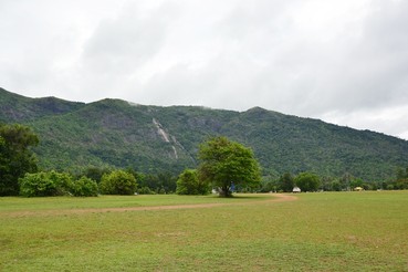DSC0742