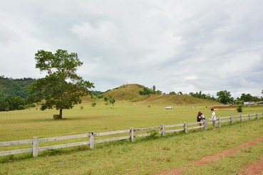 DSC0747