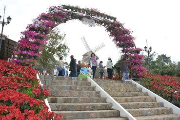 DSC0796
